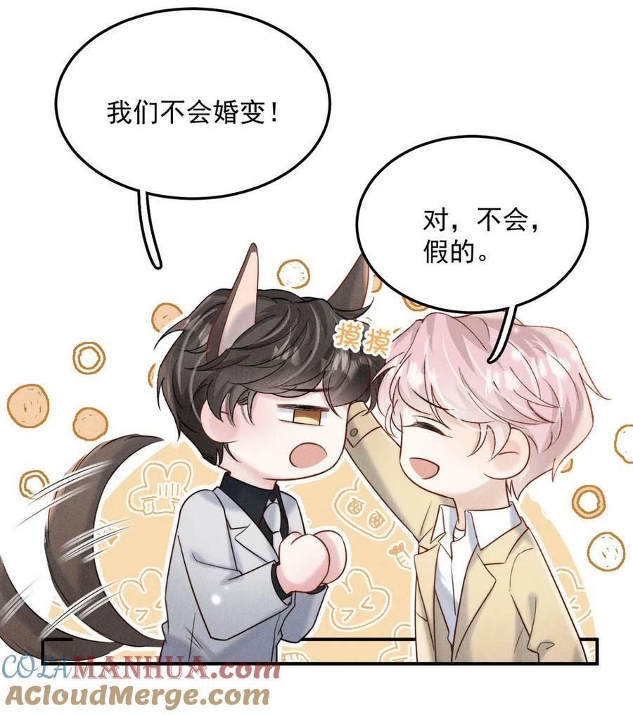 072 我们离婚吧。18