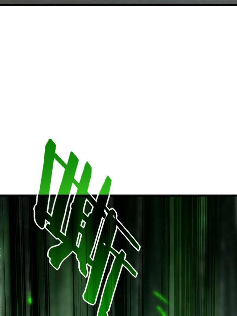 11 传奇伴生宠23