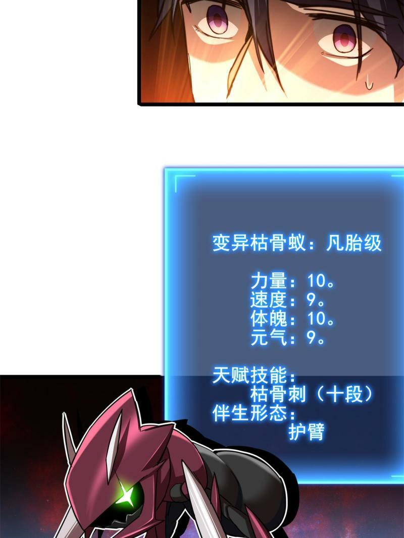 28 融合伴生宠31