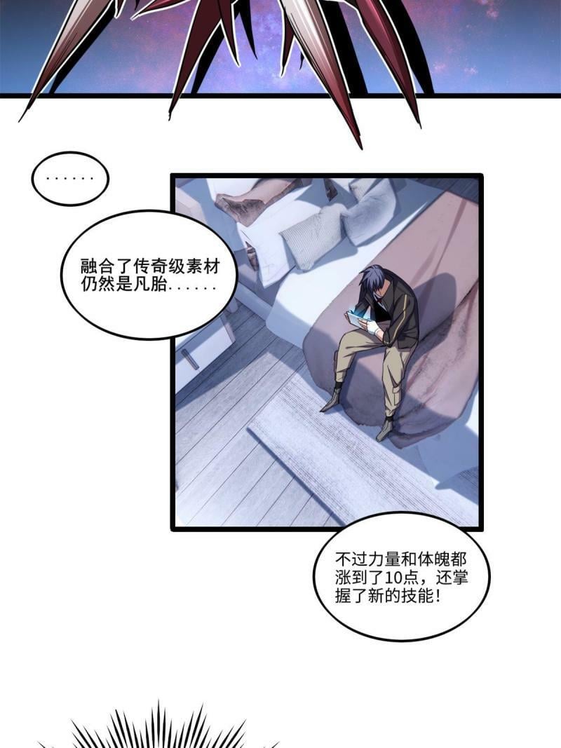 28 融合伴生宠32