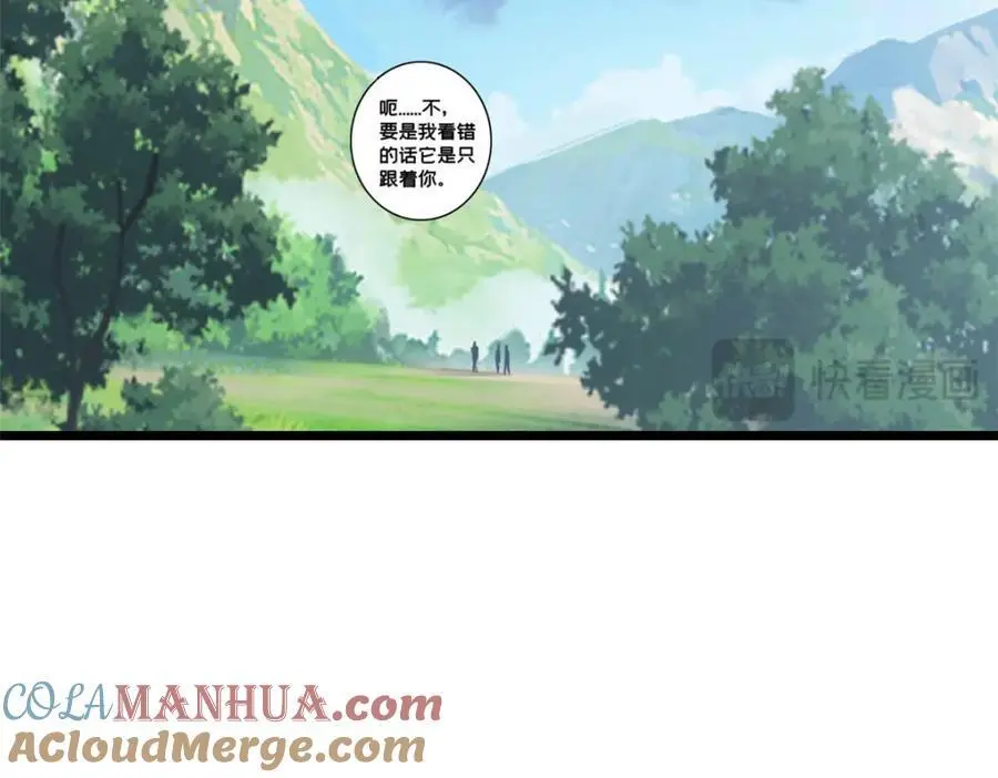 124 凤凰？51