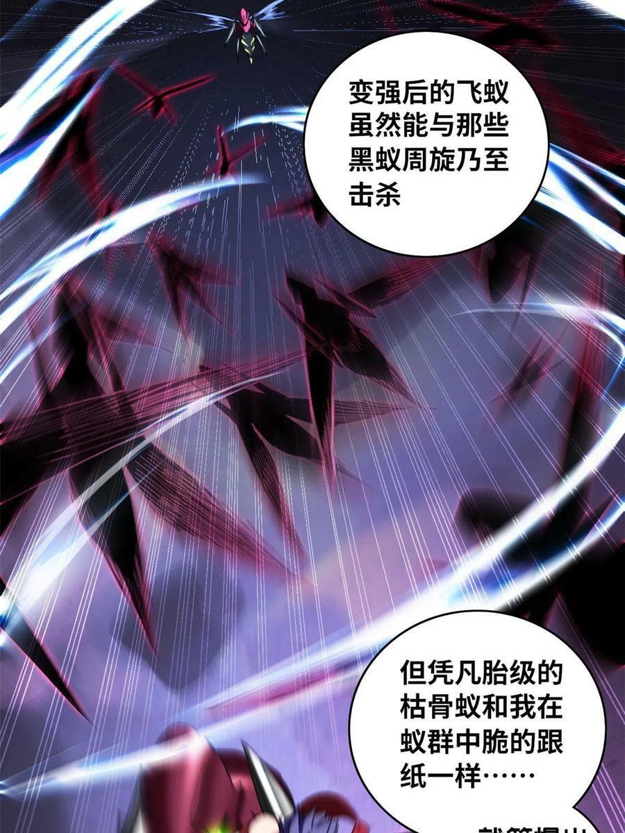 62 导师登场32