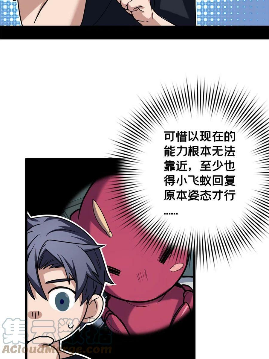 37 伴生宠的食物36