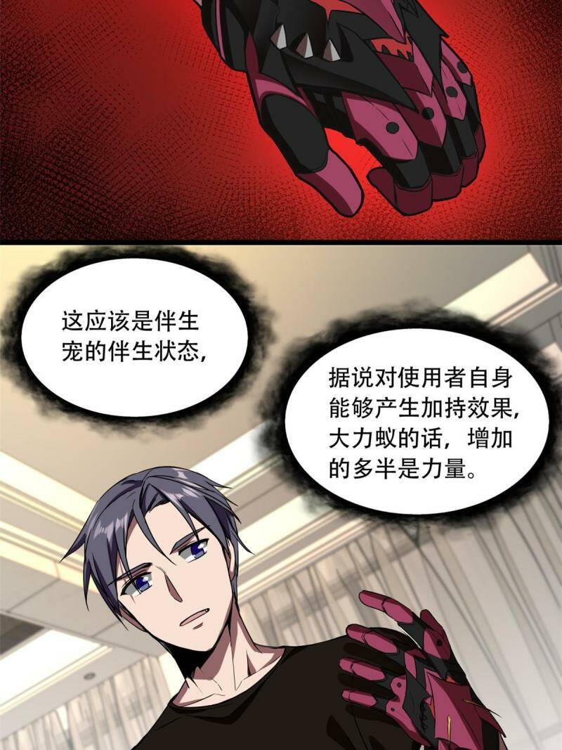 04 孵化伴生卵28