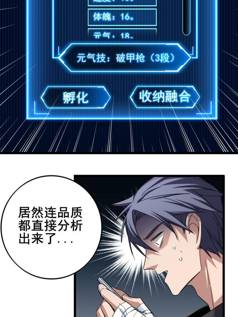28 融合伴生宠24