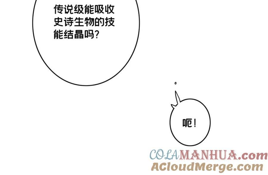 116 次元结晶81