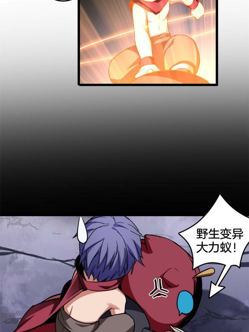 24 枯骨掌进化31