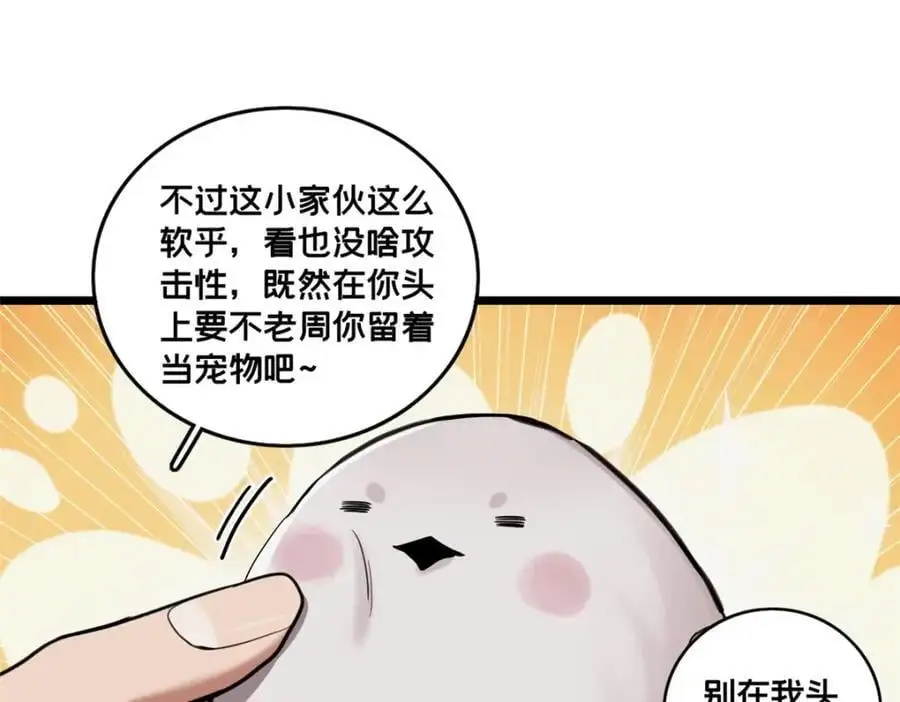 124 凤凰？11