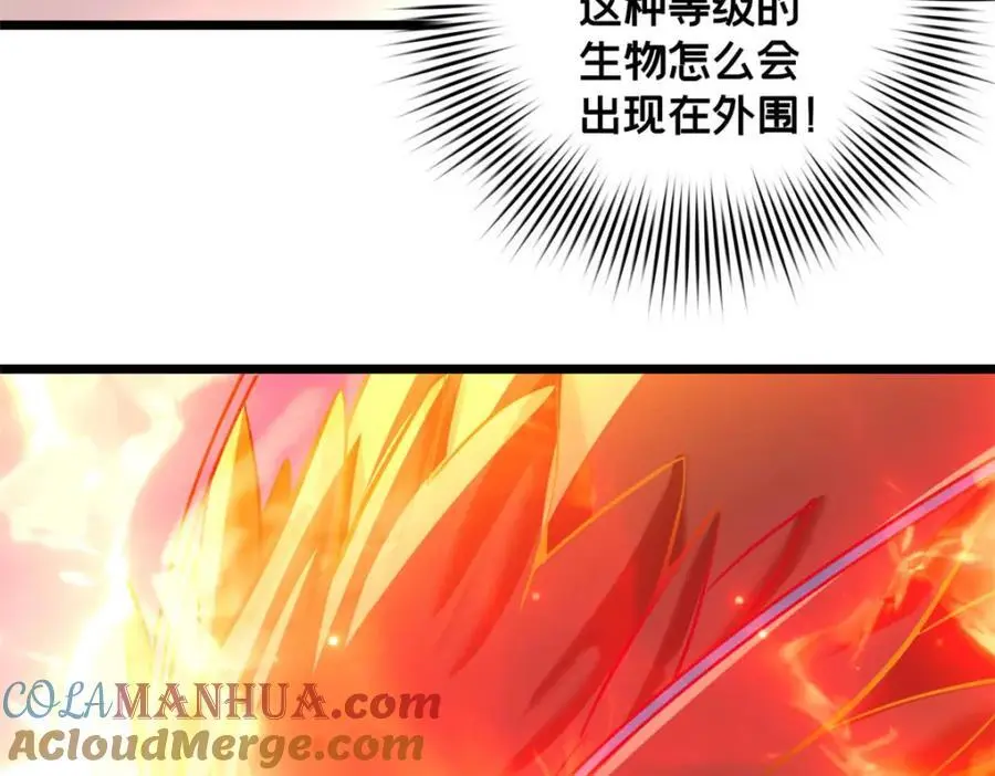 124 凤凰？78