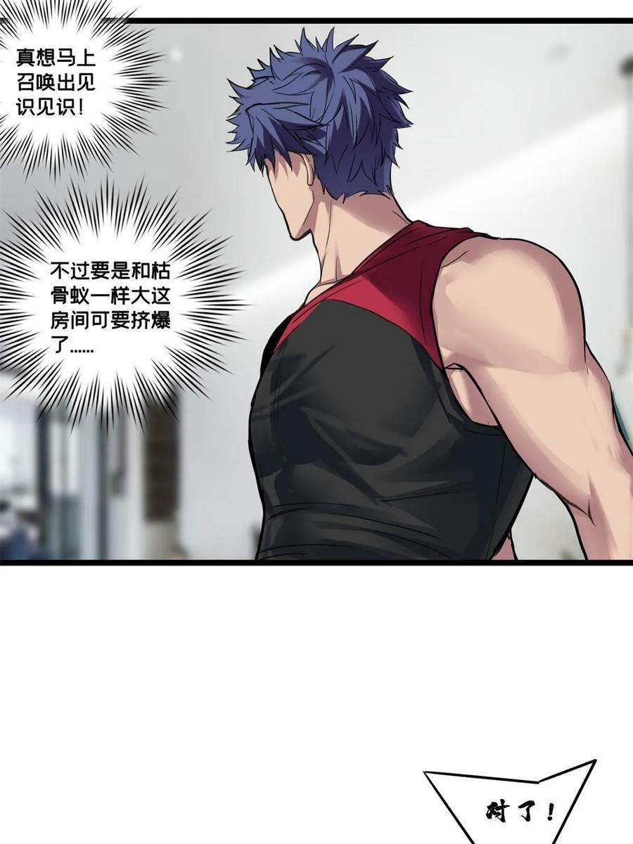 85 合成，莲花蚁！20