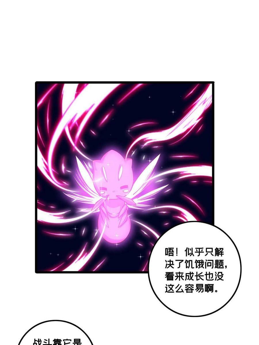 37 伴生宠的食物7