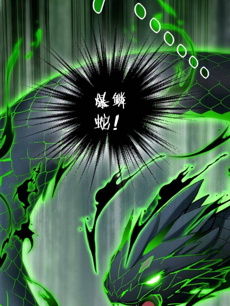 11 传奇伴生宠24