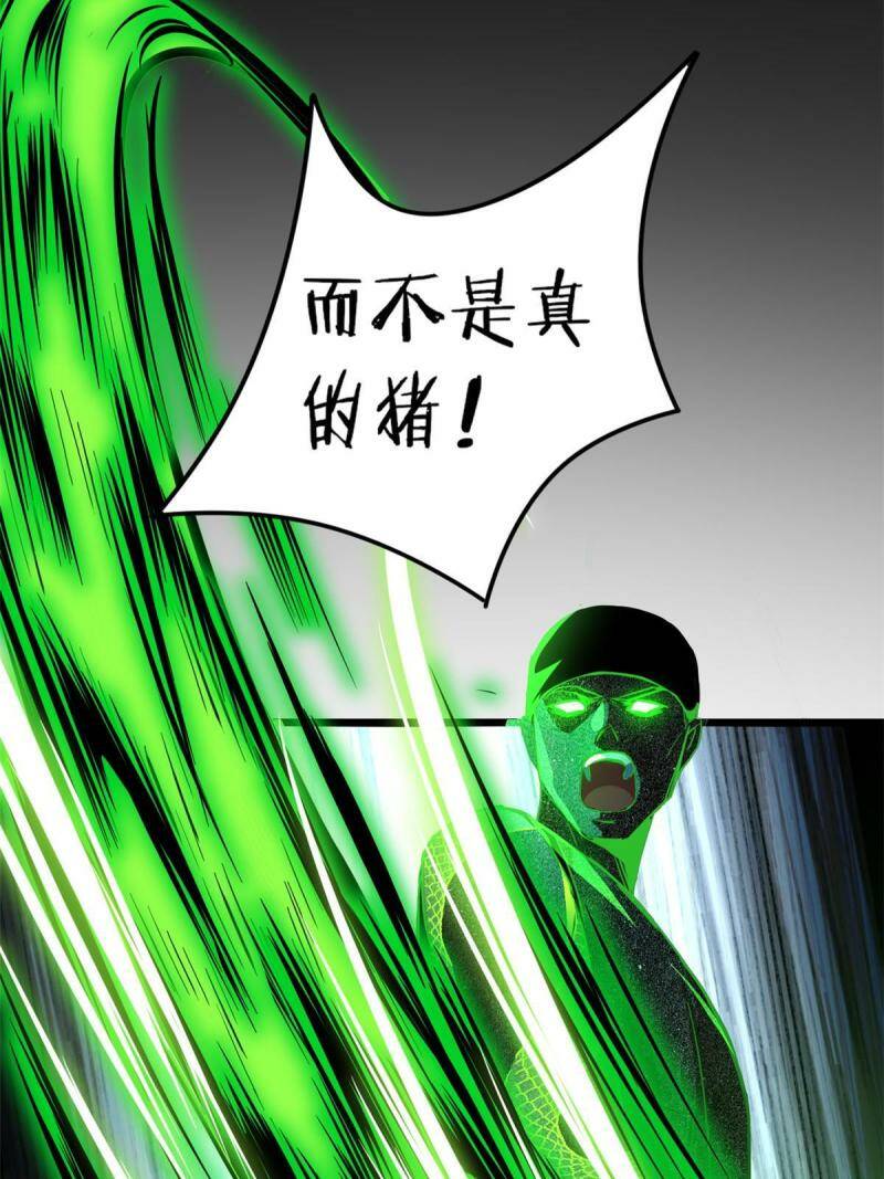 11 传奇伴生宠16