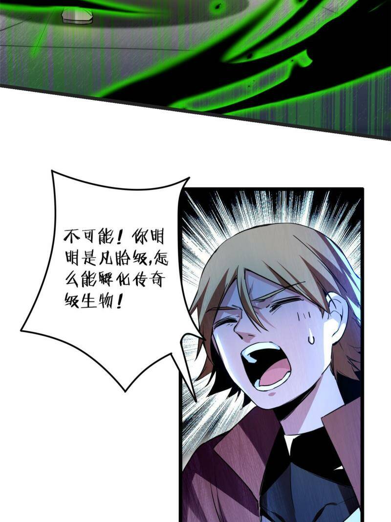 11 传奇伴生宠26