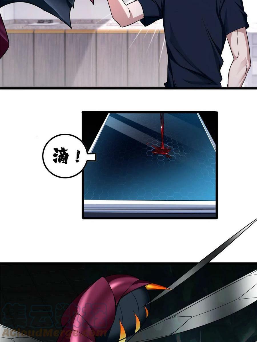 52 银翼飞蚁VS血纹佛心莲10
