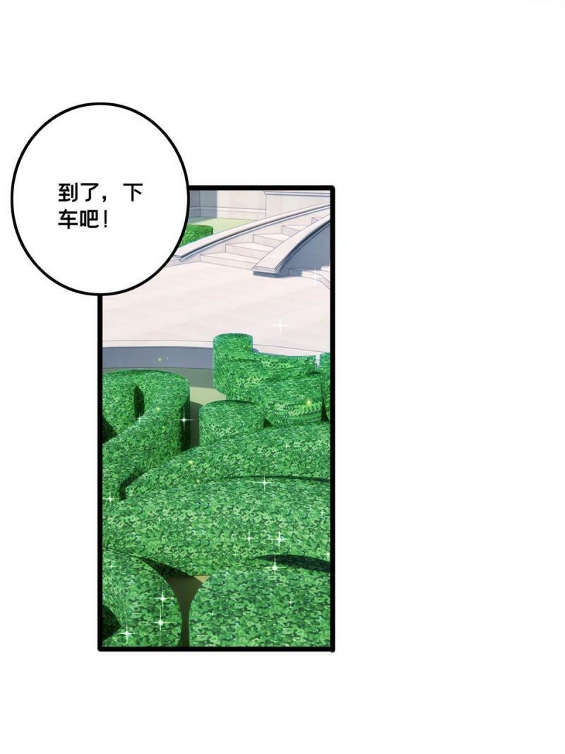 34 特别监察局的监视37