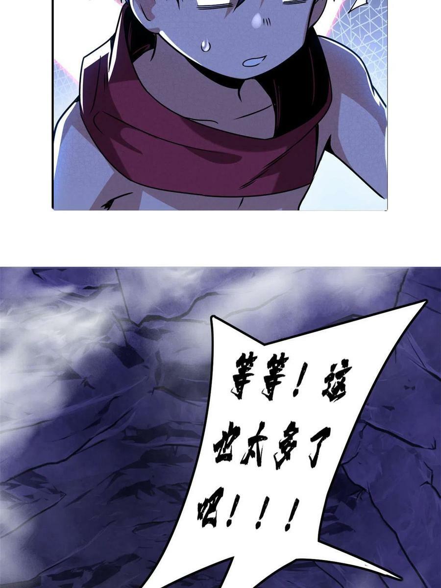 37 伴生宠的食物19