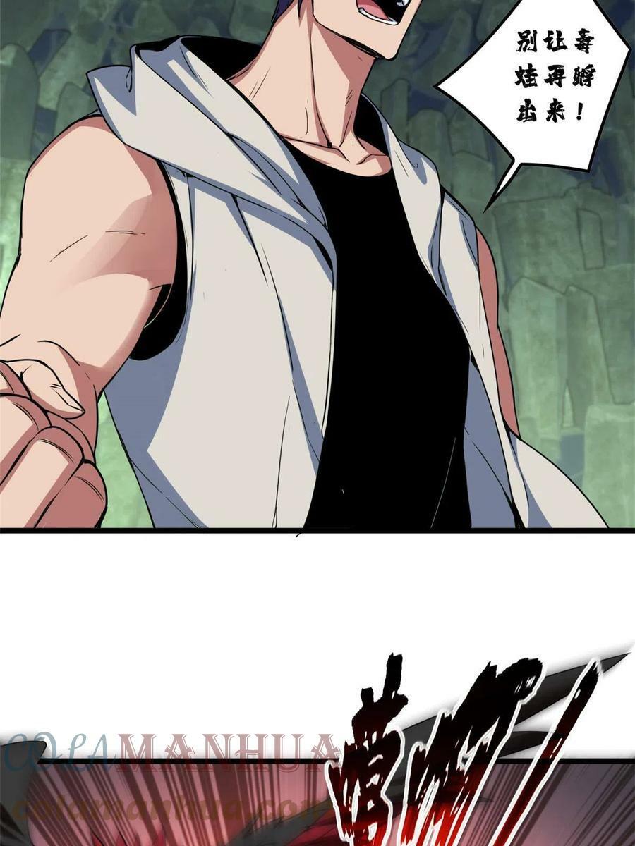 55 你的伴生宠死了，我可不赔24