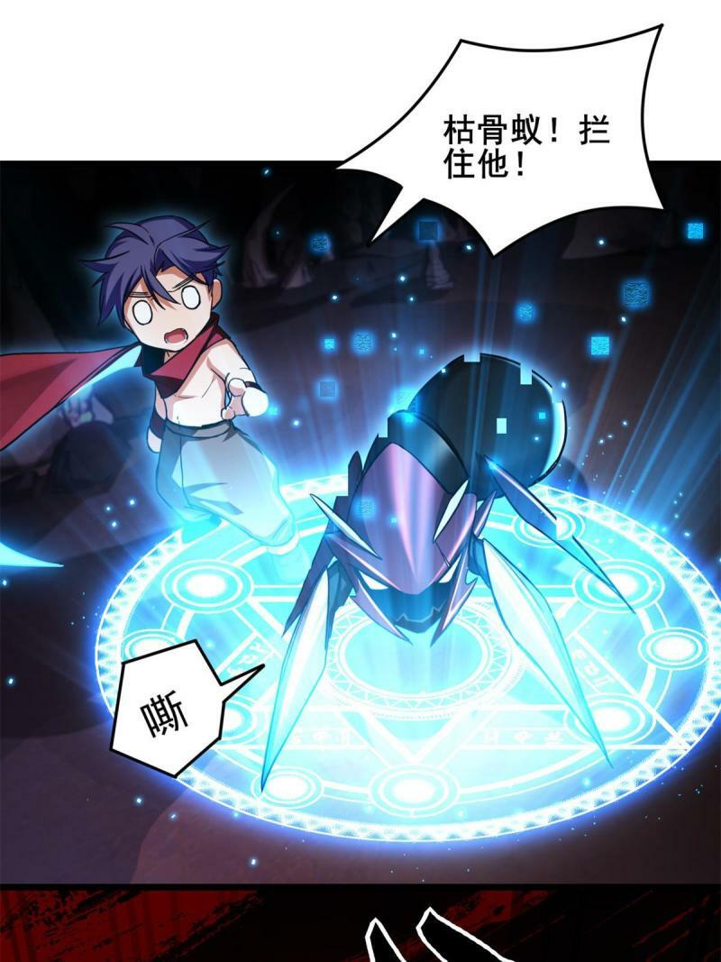 28 融合伴生宠36