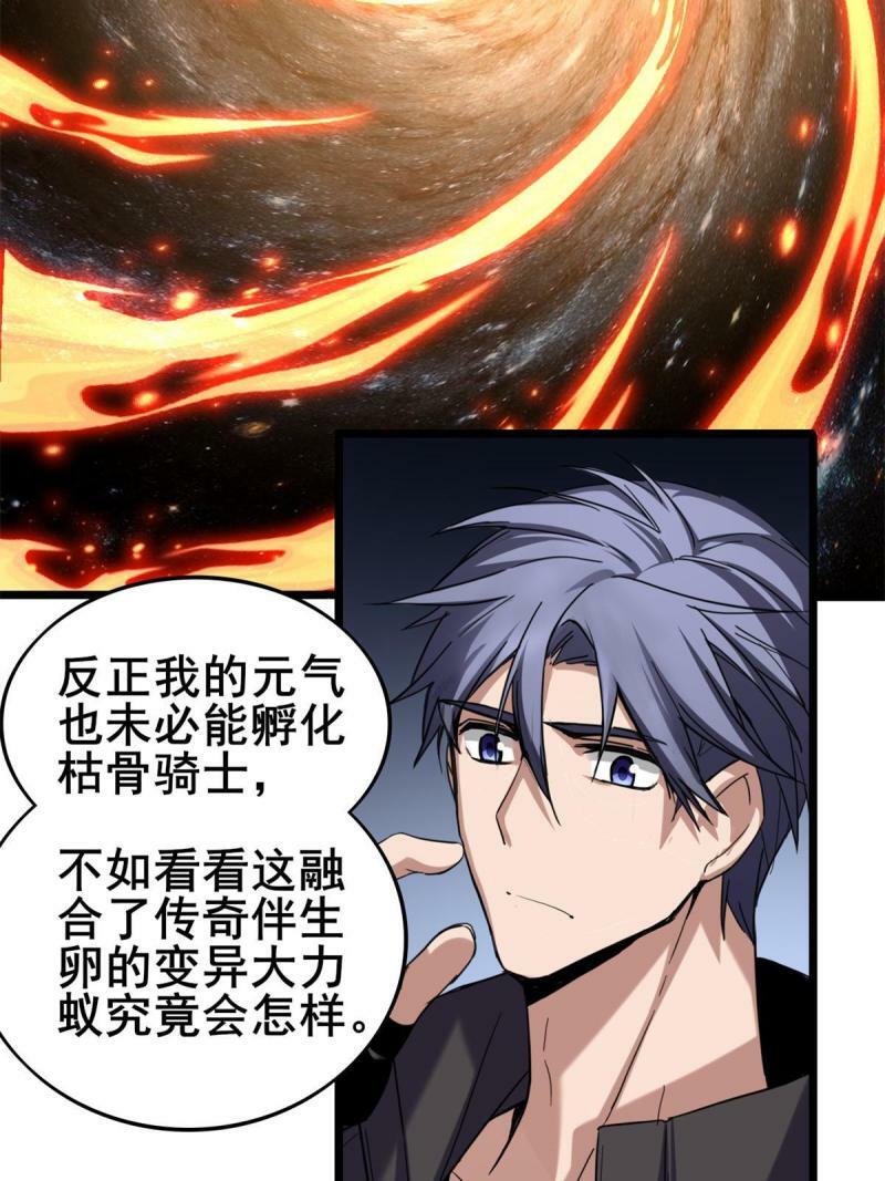 28 融合伴生宠29