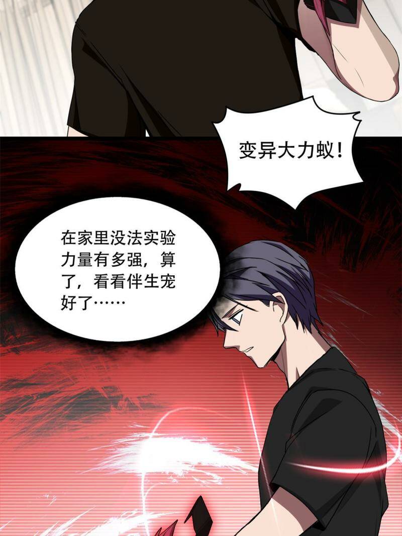04 孵化伴生卵29