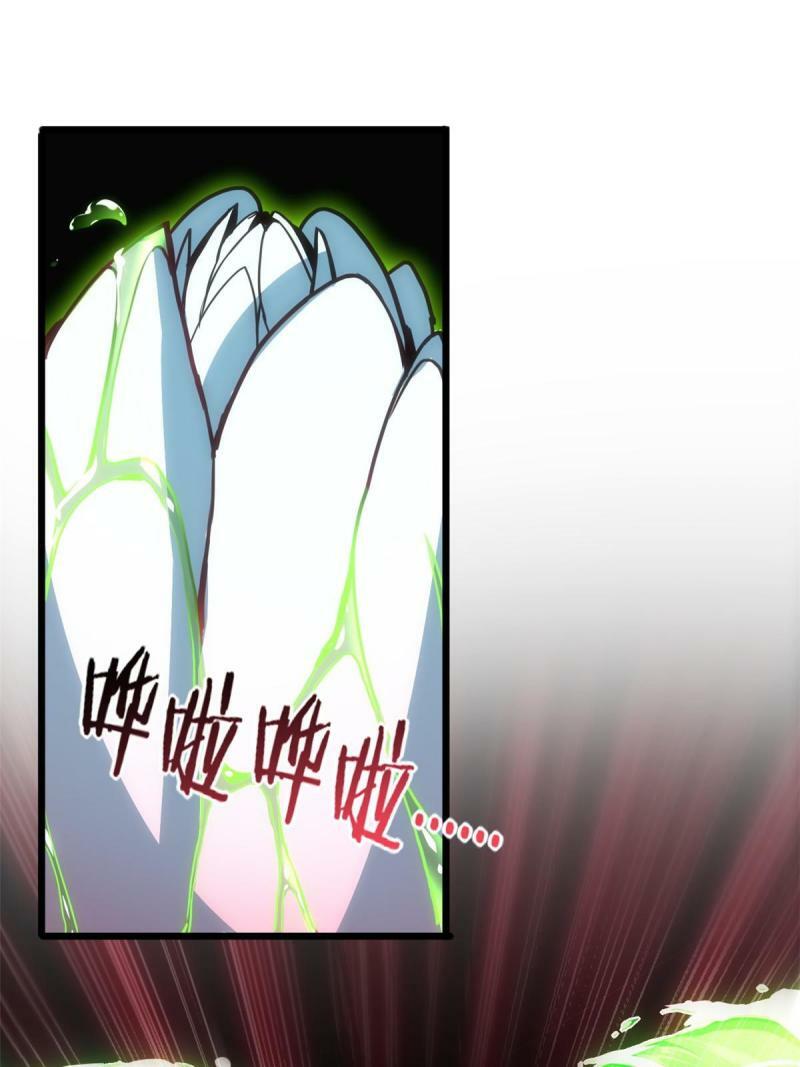 30 佛心莲20