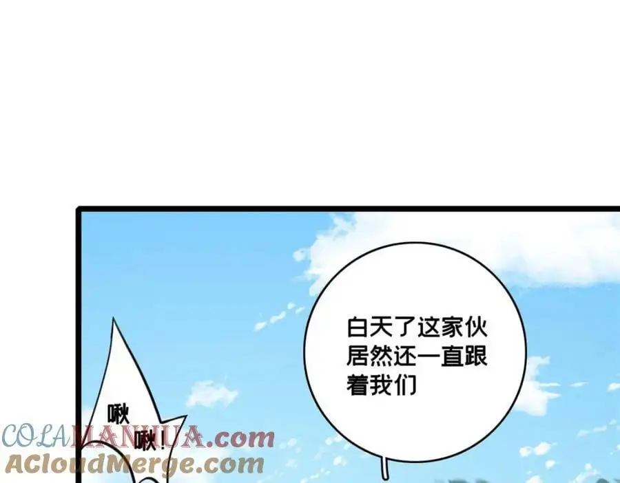 124 凤凰？48