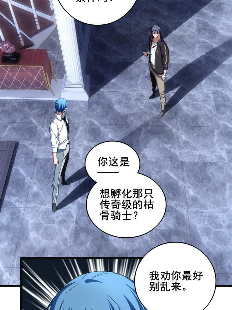 28 融合伴生宠12