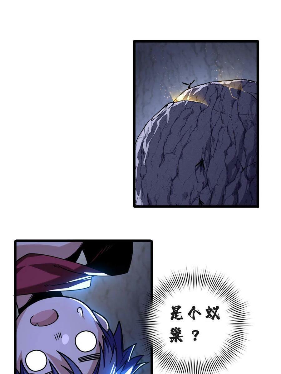 37 伴生宠的食物32