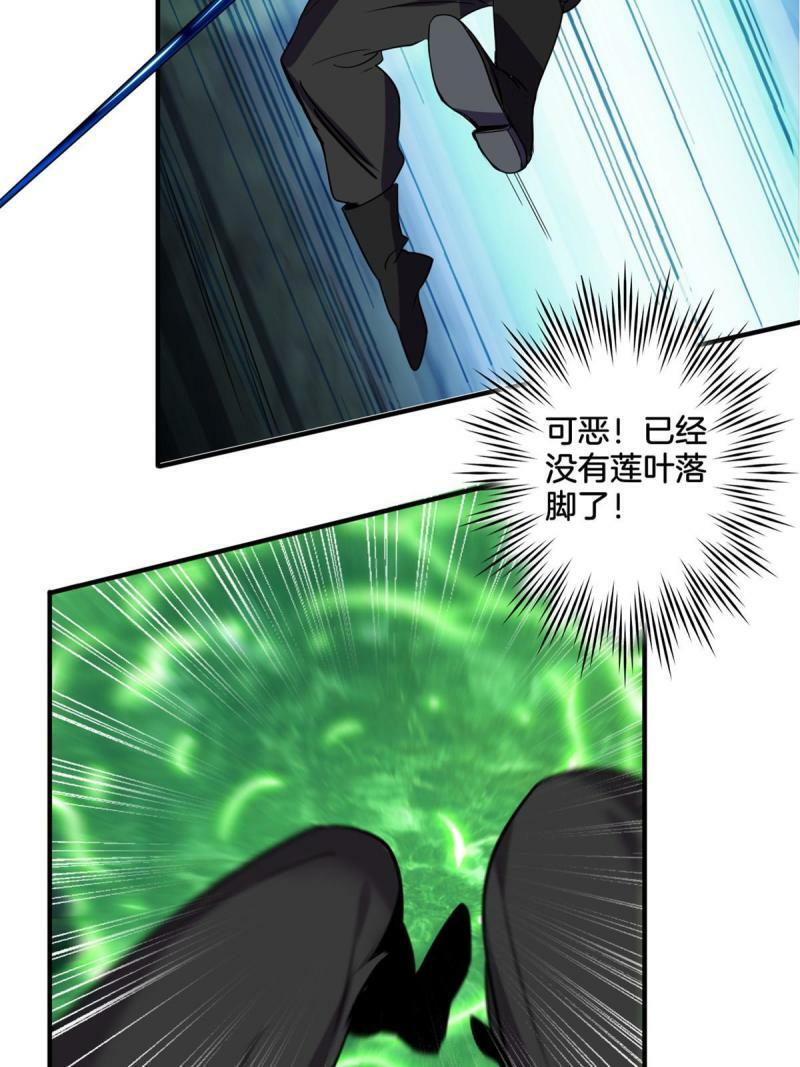 30 佛心莲43