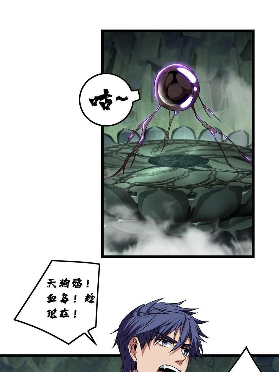 55 你的伴生宠死了，我可不赔23