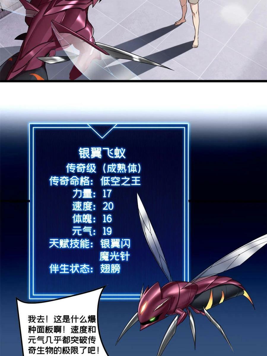 52 银翼飞蚁VS血纹佛心莲7