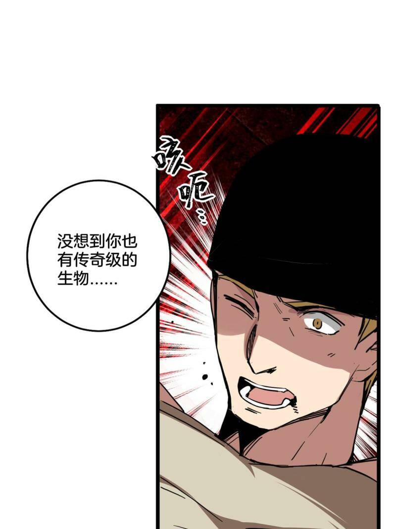 11 传奇伴生宠43