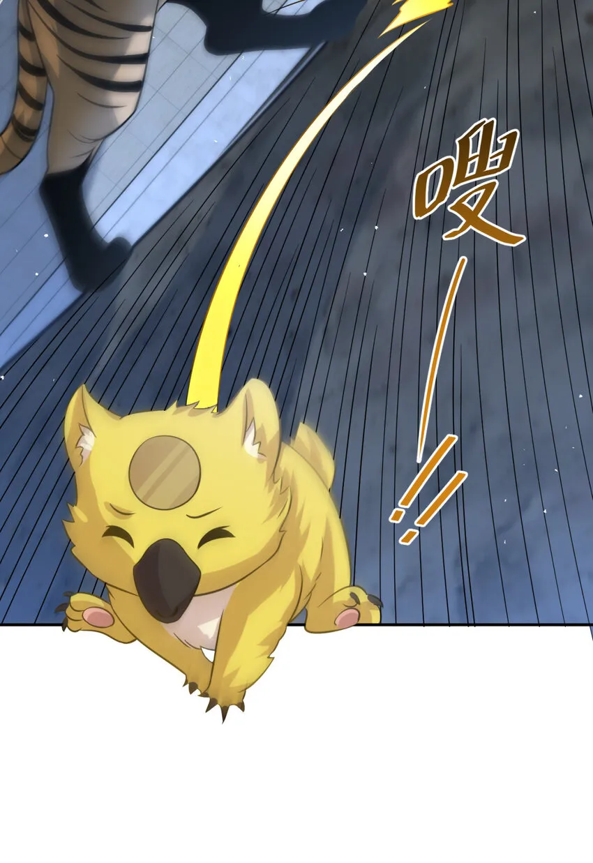 24 243