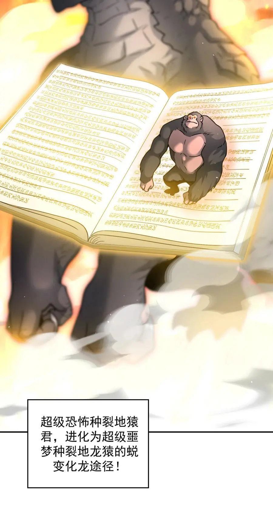 95 9523