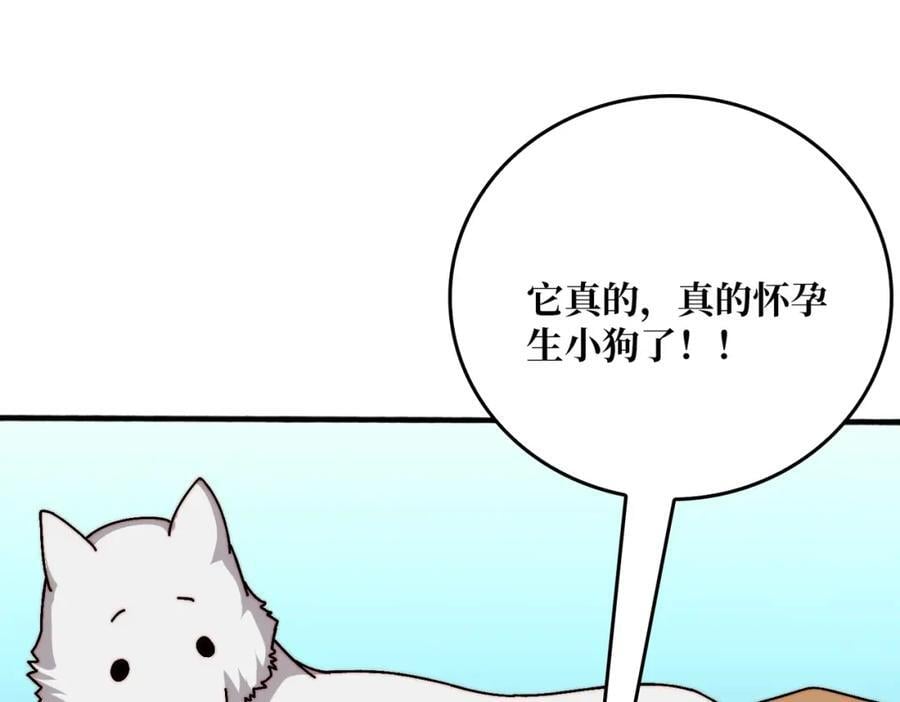 49 赛事合作17