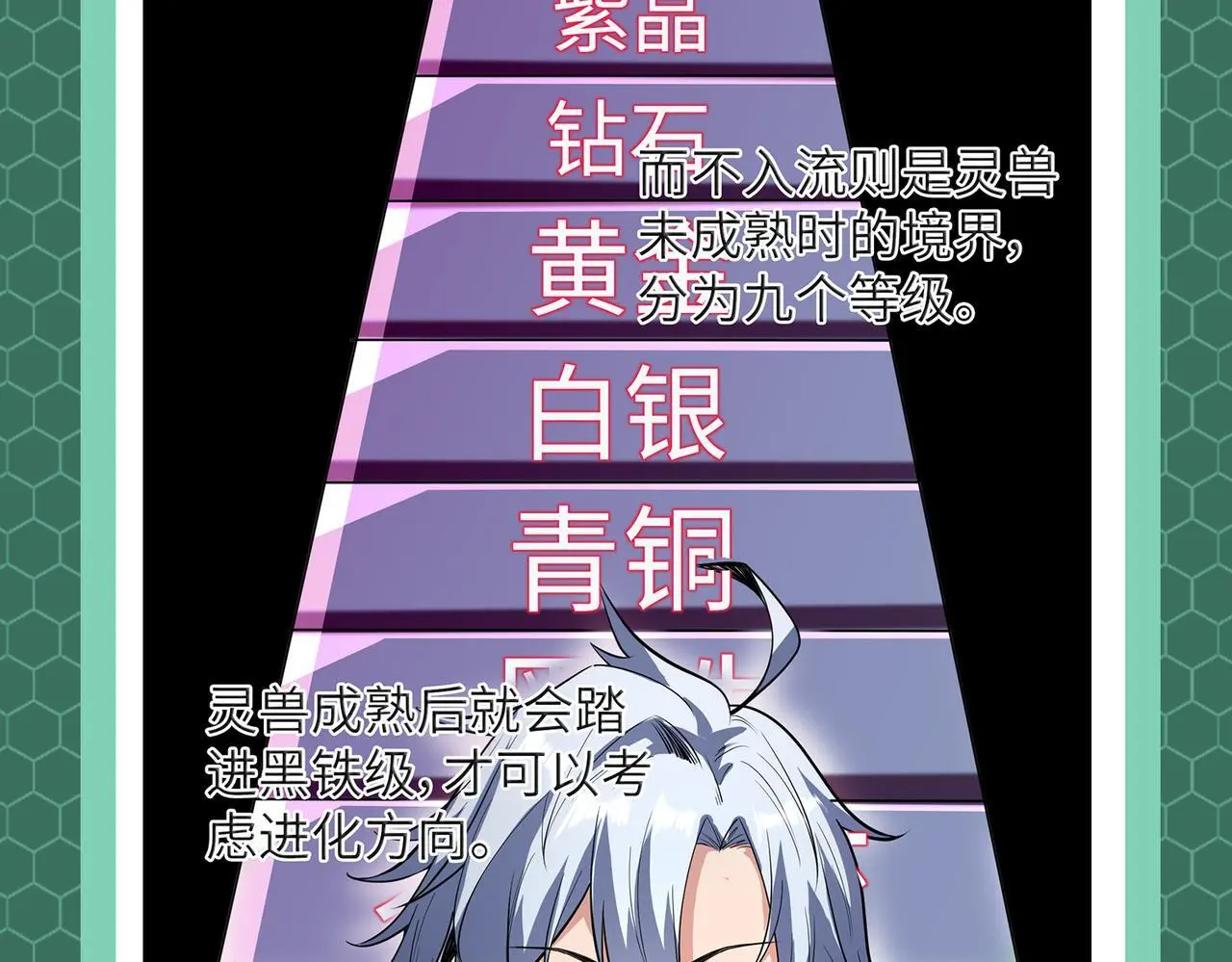 第3期 灵兽设定5