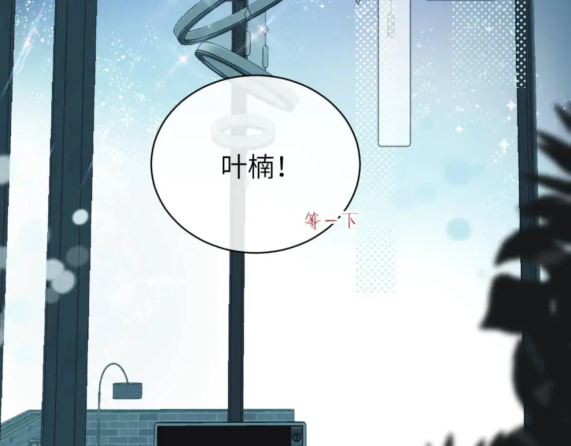 第35 起伏不定的感情37