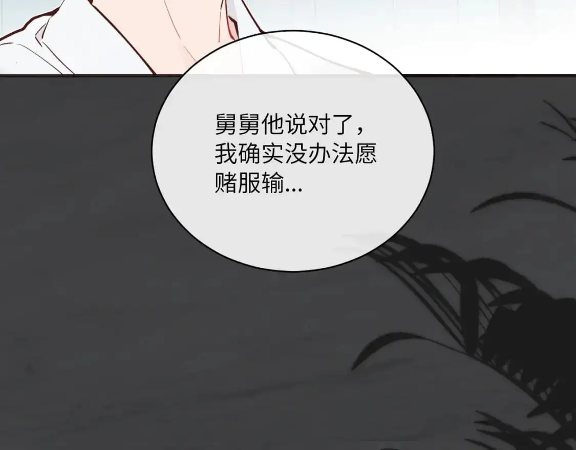 第41话 闪闪发光的勇气25