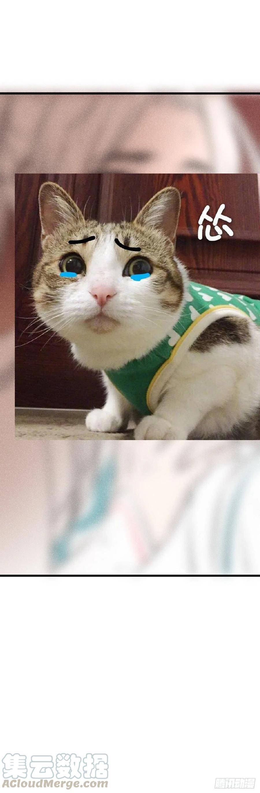 71·意乱迷情（上）28