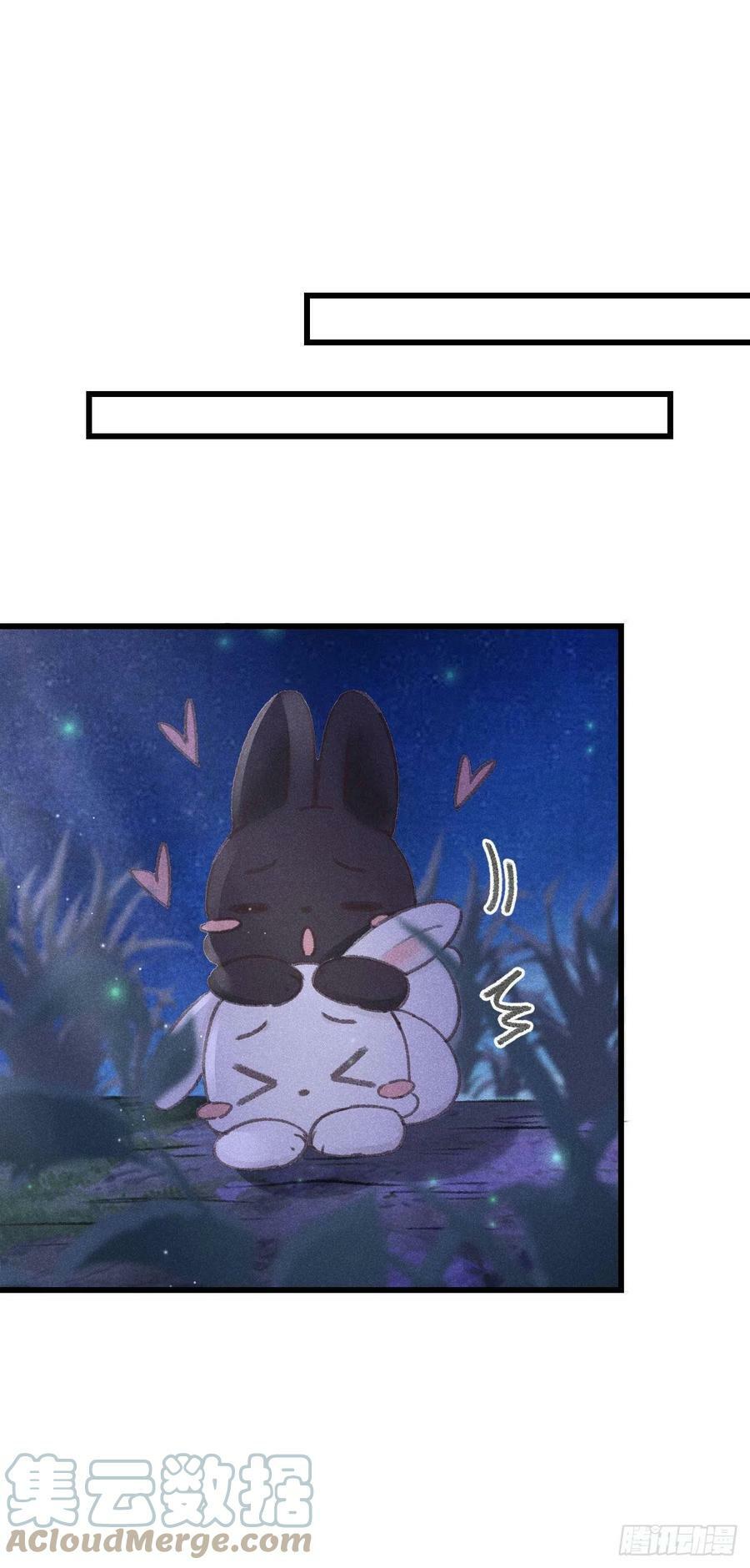 164·白芨18