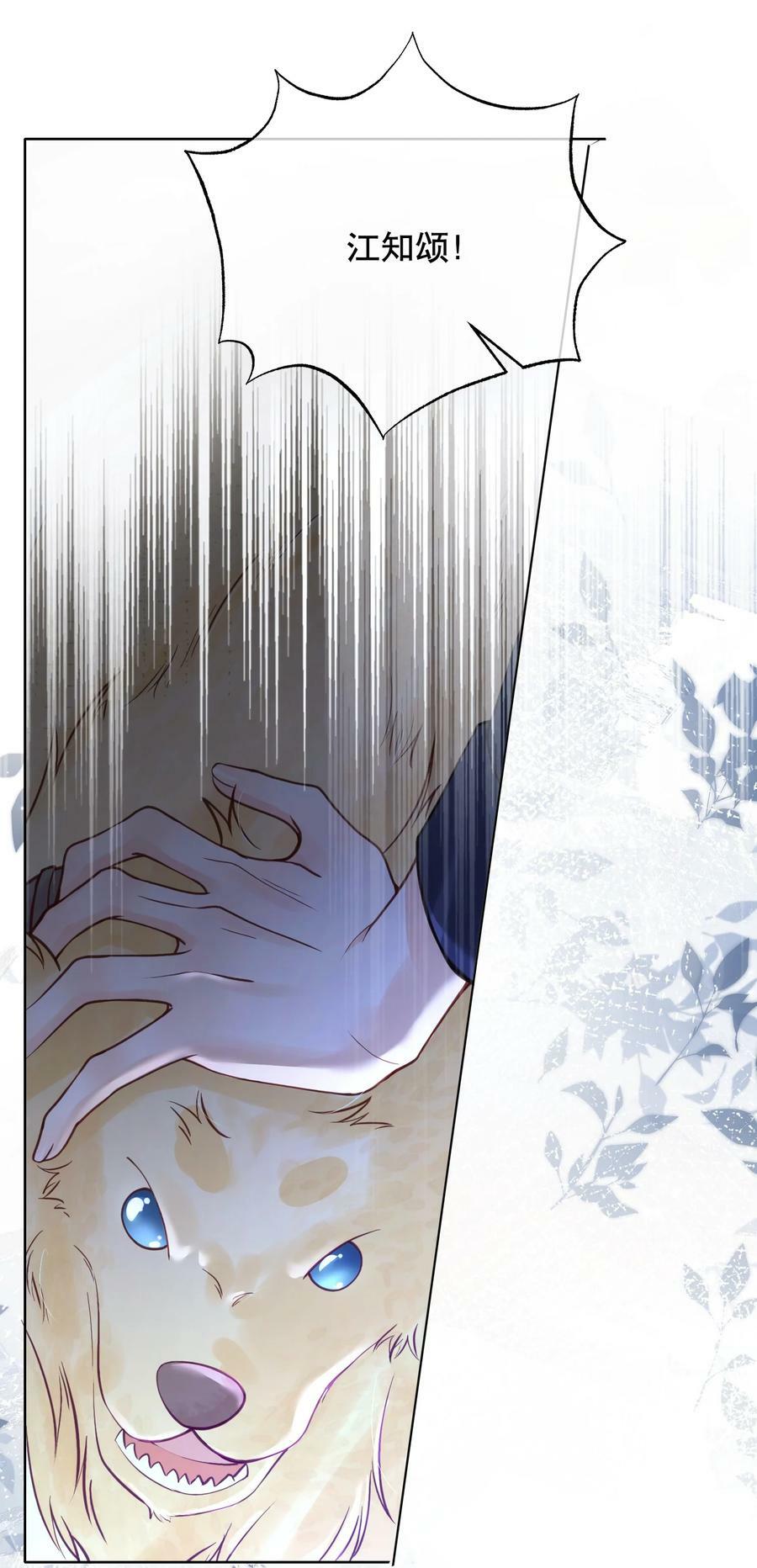 045 没事，阿衍，别怕。29