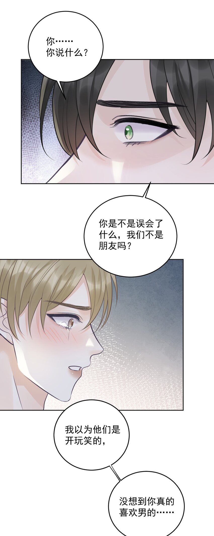 20 似是而非30