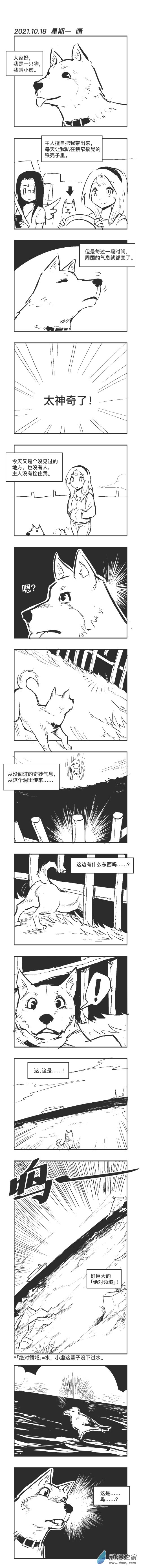 0118 小虚的奇妙冒险0