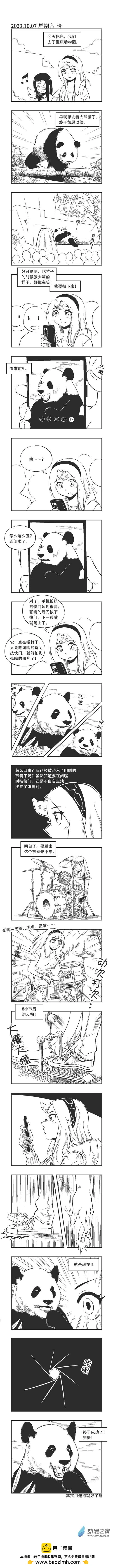 0208 反拍0