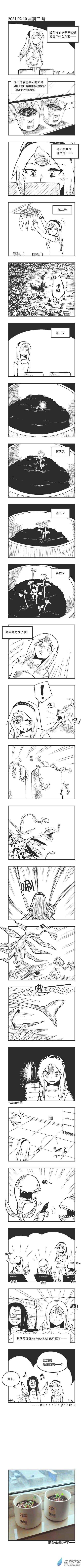 0036 盆栽0