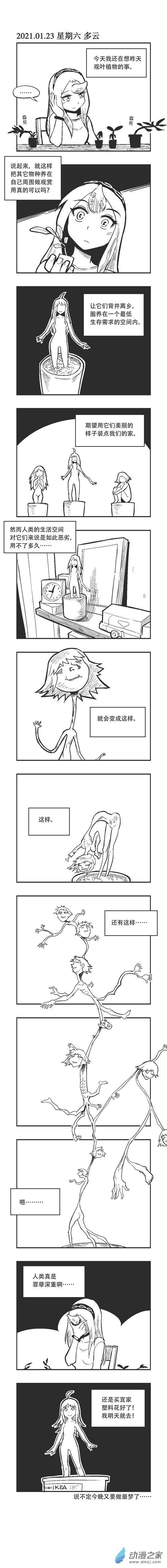 0018 观叶植物20
