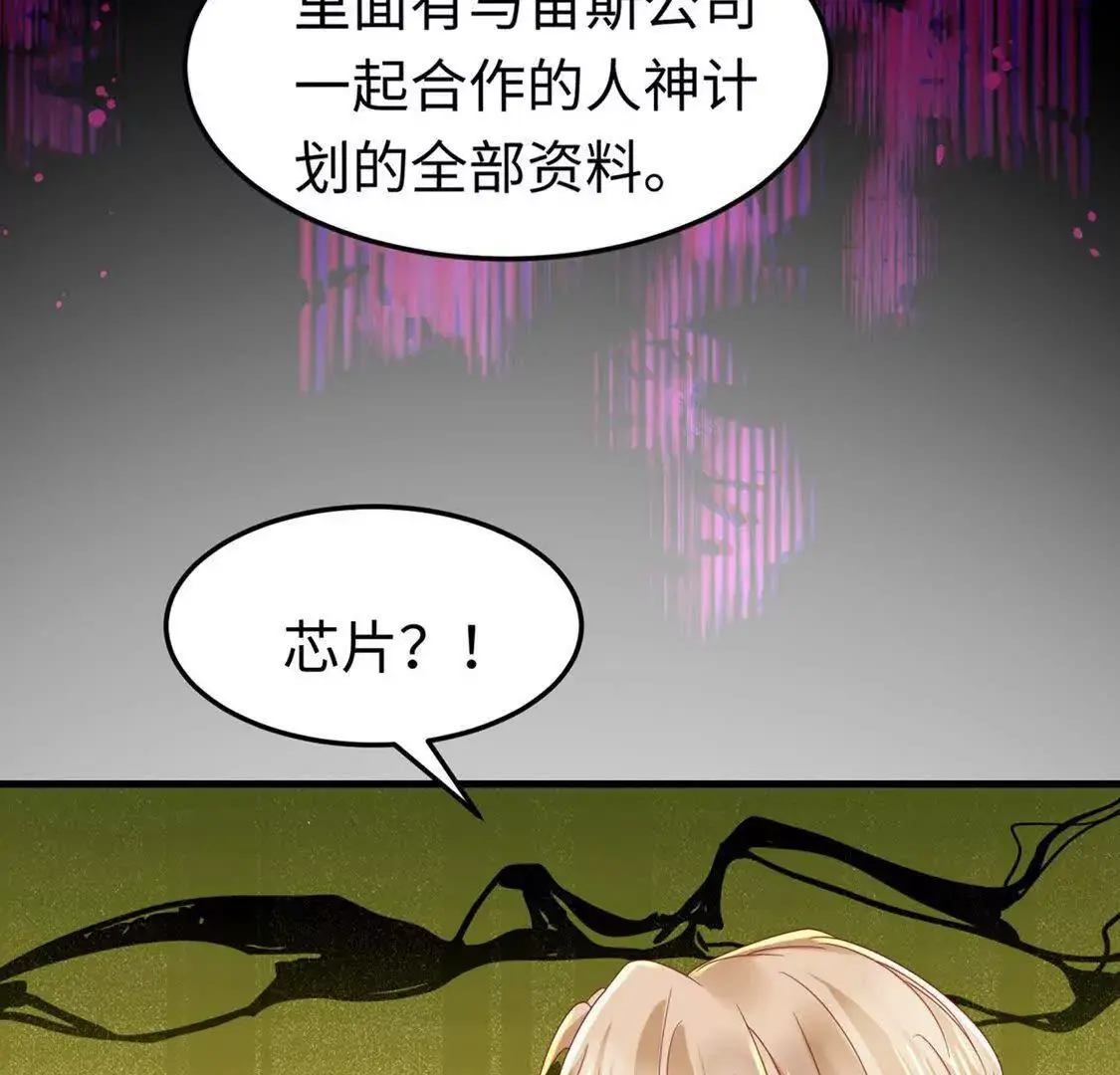 001 女总裁80