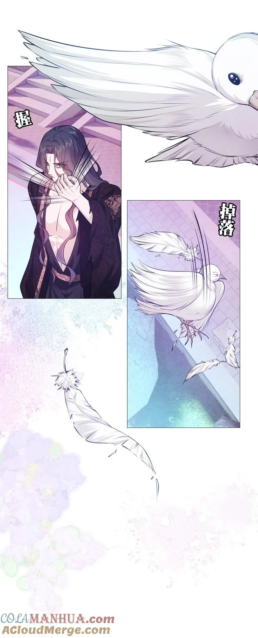 28 血脉42