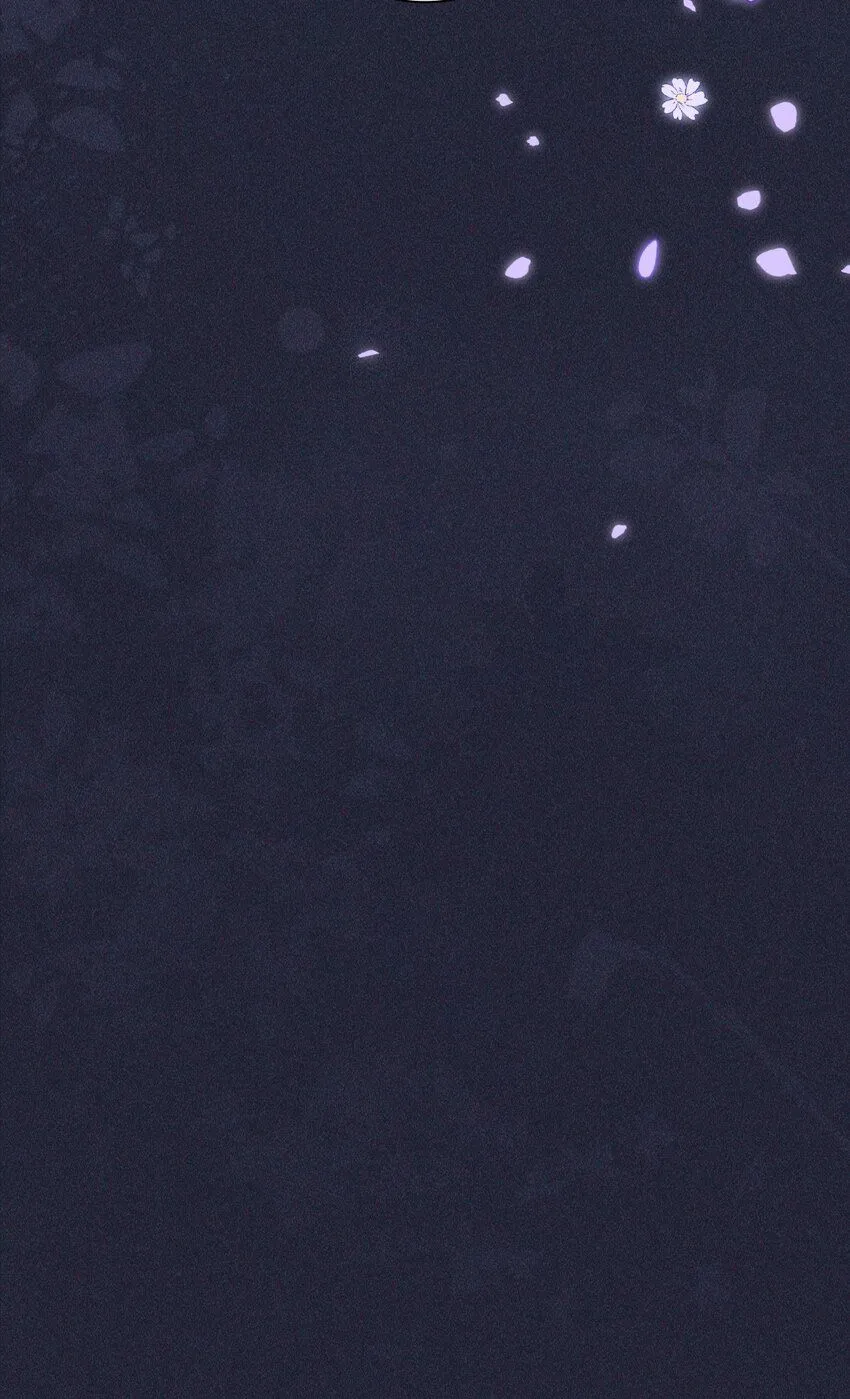 12 过往17